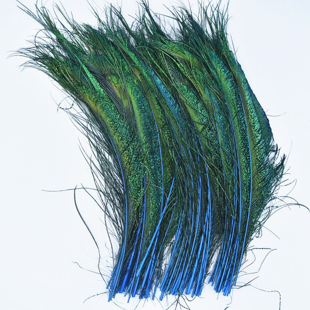 Peacock Feather Decoration, Peacock Tail Feather Craft